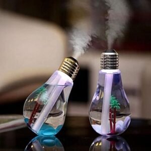 Bulb Air Humidifier